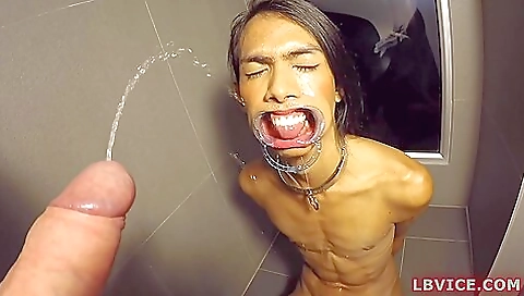 Hot brunette ladyboy has fun with a big cock and pissing